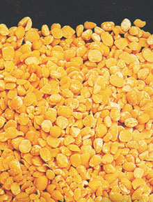 Santorini "Fava"